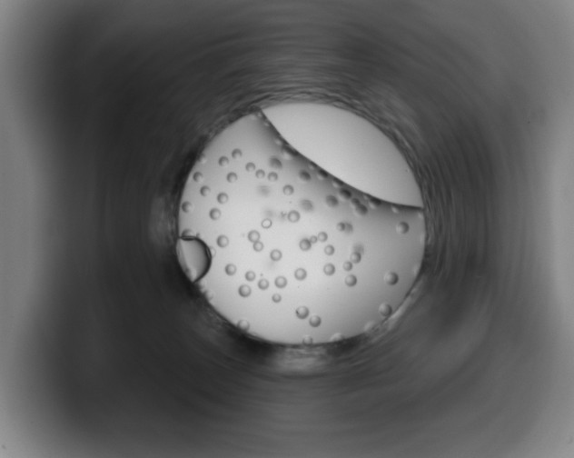 X0000099500179200805150957