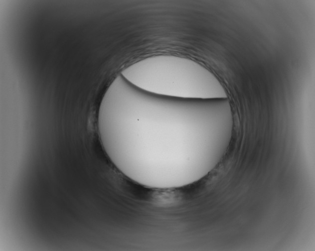 X0000099500181200805150957