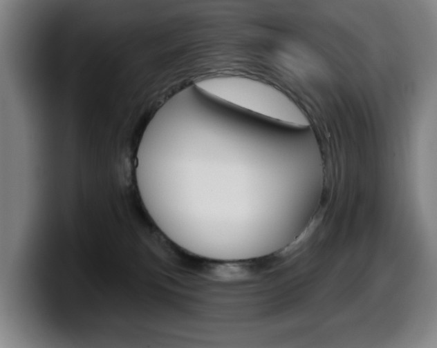 X0000099500183200805150957