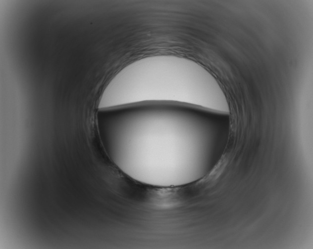 X0000099500184200805150957
