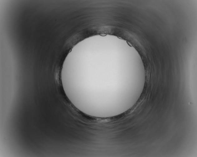 X0000099500185200805150957