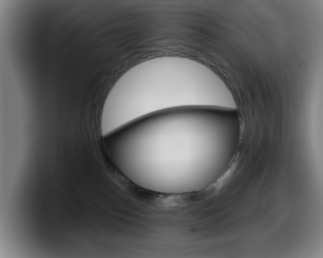 X0000099500186200805150957