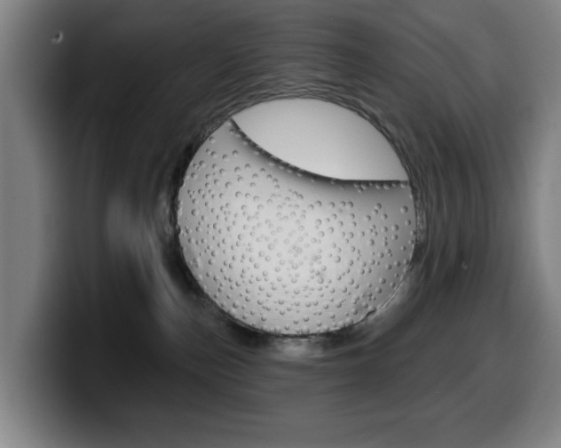 X0000099500187200805150957