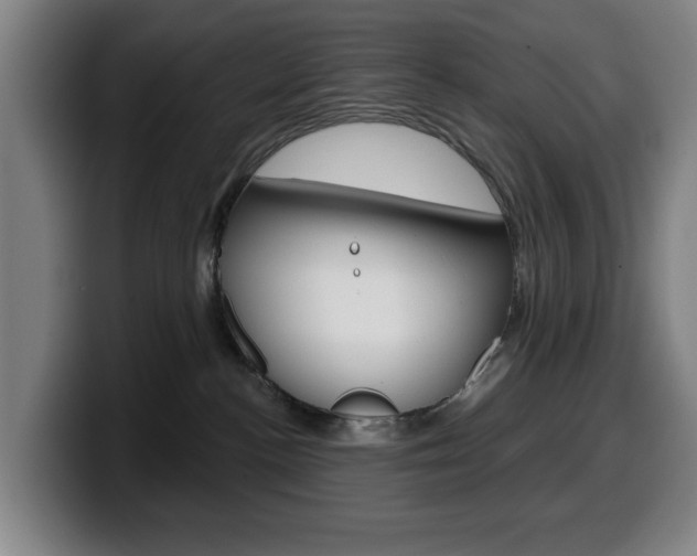 X0000099500188200805150957