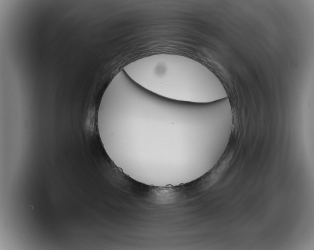 X0000099500189200805150957