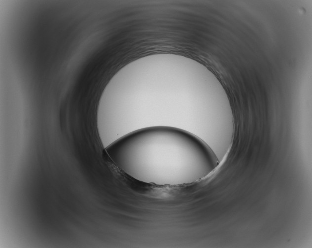 X0000099500190200805150957