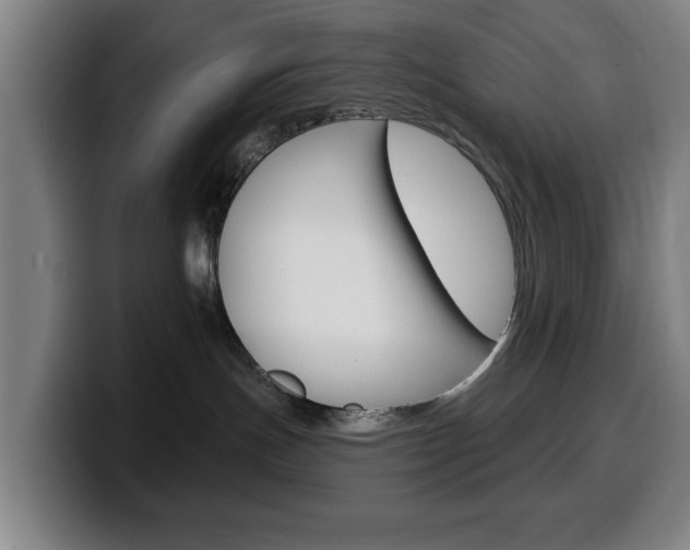 X0000099500191200805150957