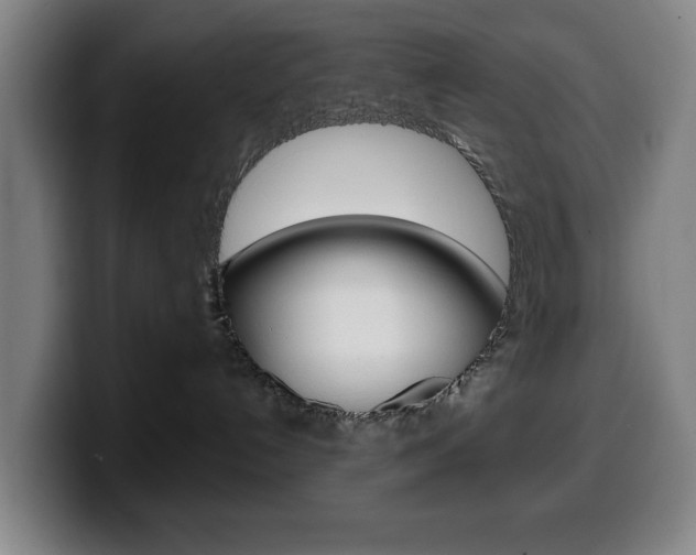 X0000099500192200805150957