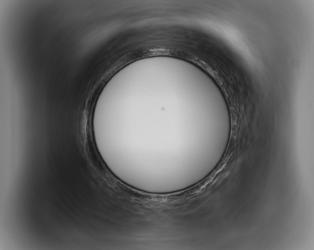 X0000099500194200805150956