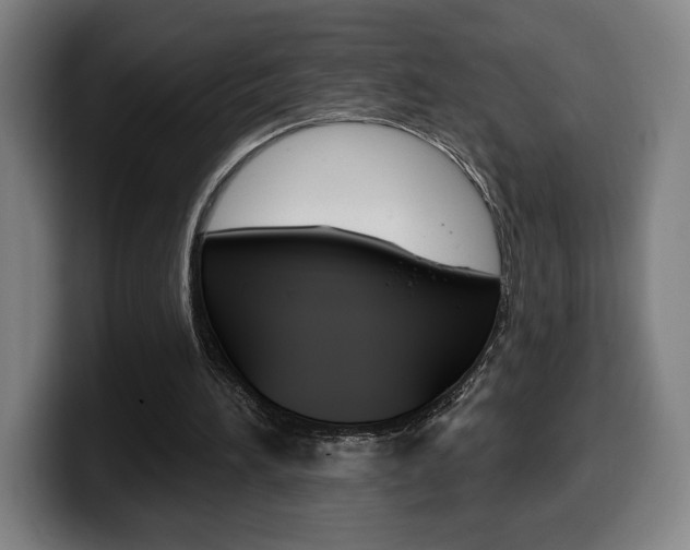 X0000099500196200805150956