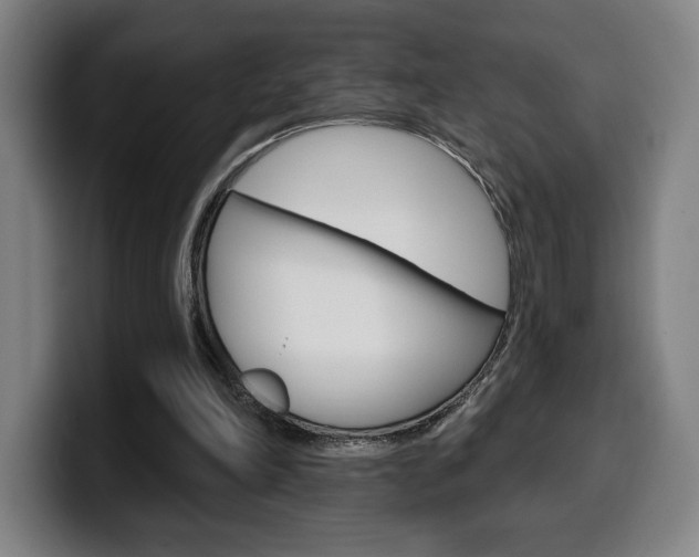 X0000099500198200805150956