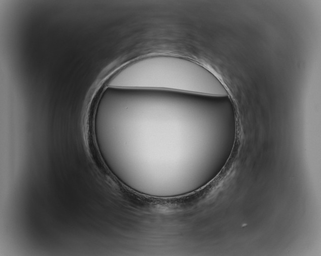 X0000099500199200805150956