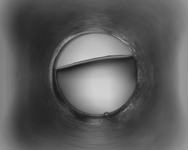 X0000099500200200805150956