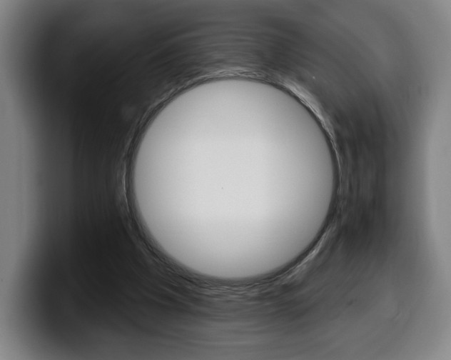 X0000099500201200805150956