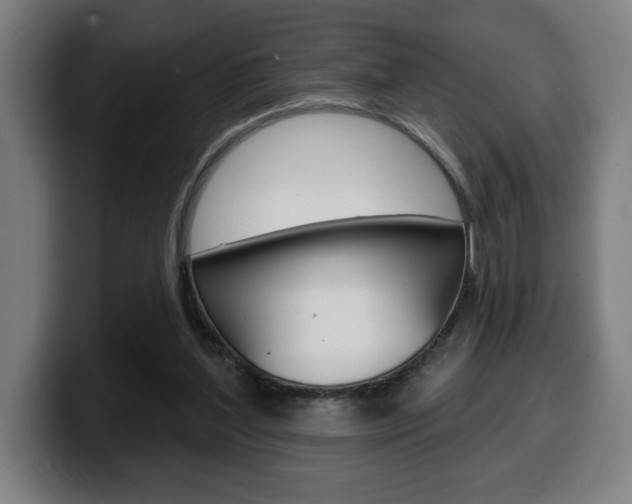 X0000099500204200805150956