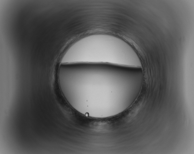 X0000099500208200805150956