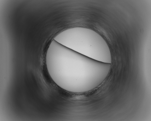 X0000099500210200805150956