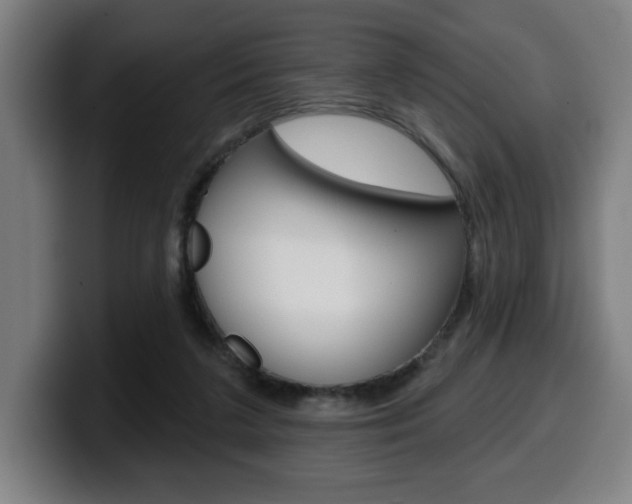 X0000099500211200805150956