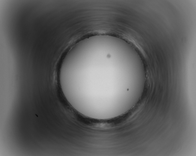 X0000099500212200805150956