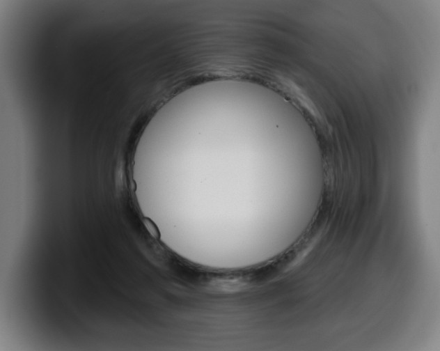 X0000099500213200805150956