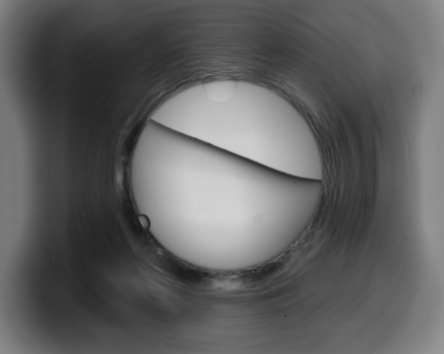 X0000099500214200805150956