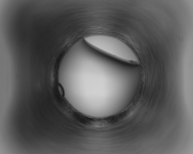 X0000099500215200805150956