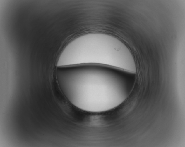 X0000099500216200805150956