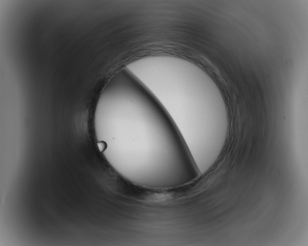 X0000099500217200805150956