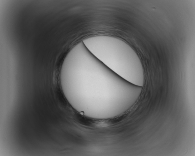 X0000099500218200805150956