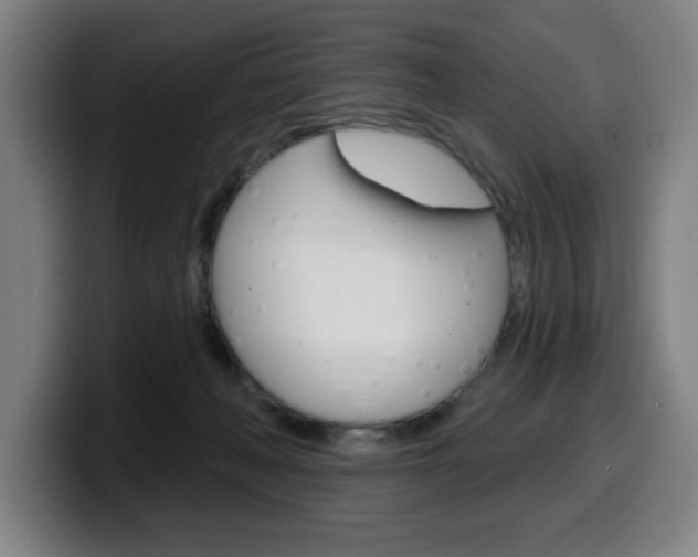 X0000099500222200805150956