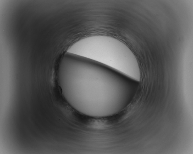 X0000099500223200805150956