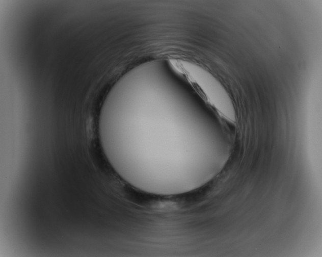 X0000099500224200805150956