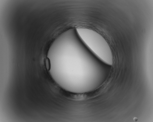 X0000099500225200805150956