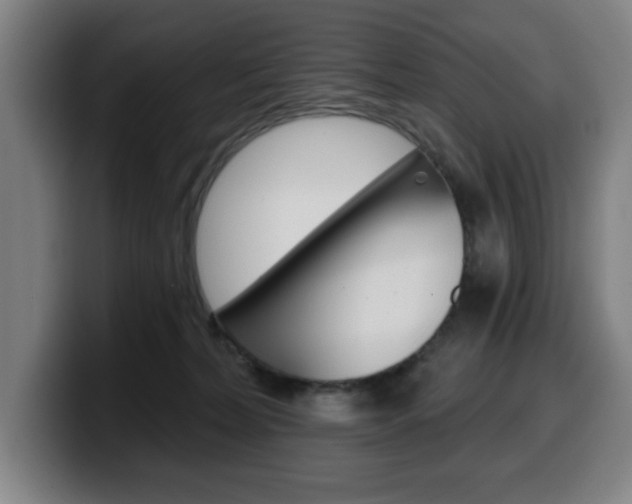 X0000099500228200805150956