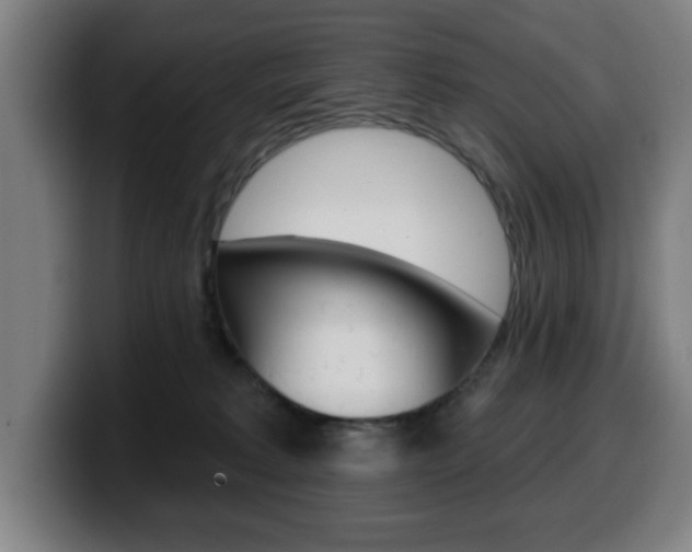 X0000099500229200805150956