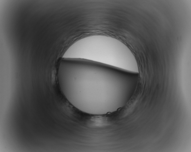 X0000099500231200805150956