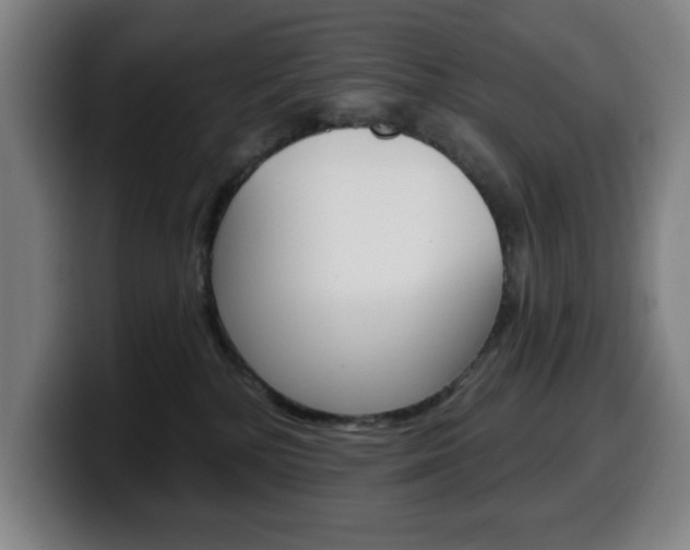 X0000099500232200805150956