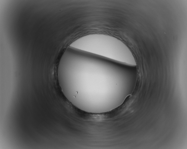 X0000099500233200805150956