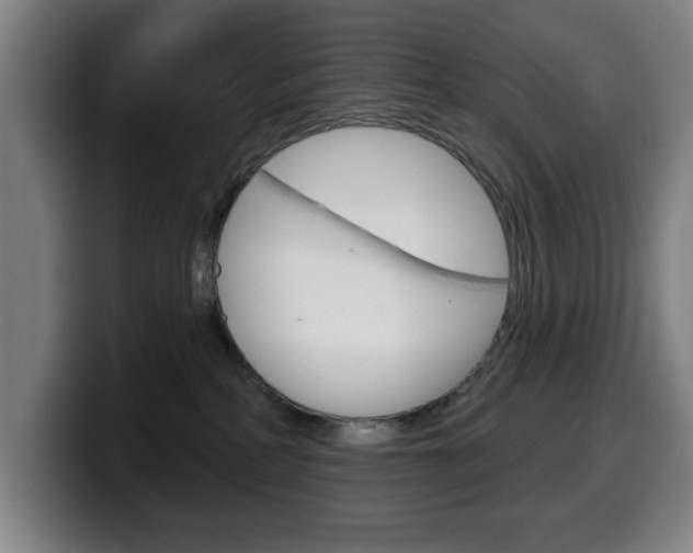 X0000099500234200805150956