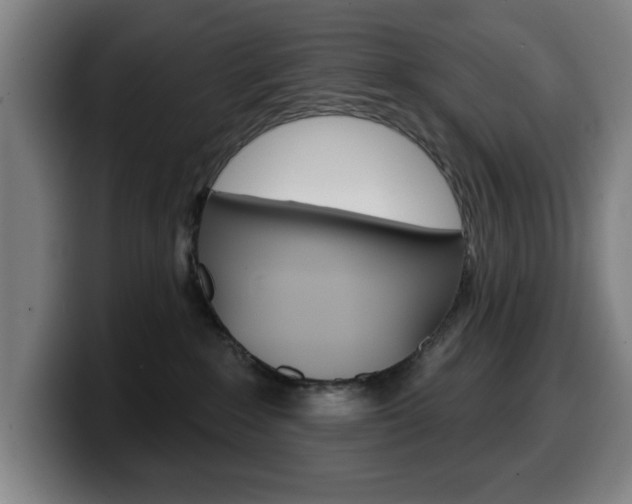 X0000099500235200805150956