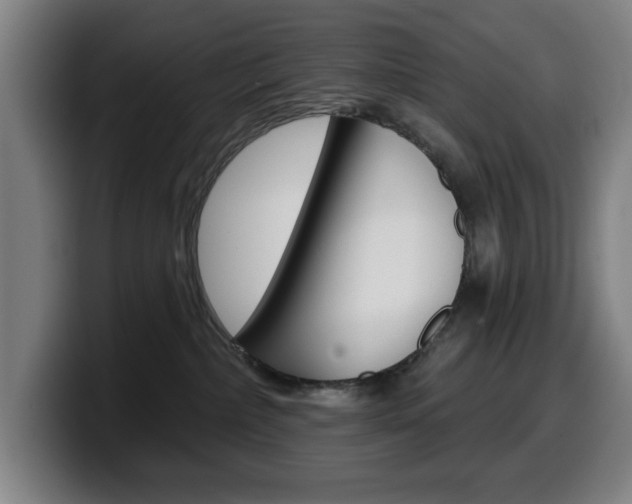 X0000099500236200805150956