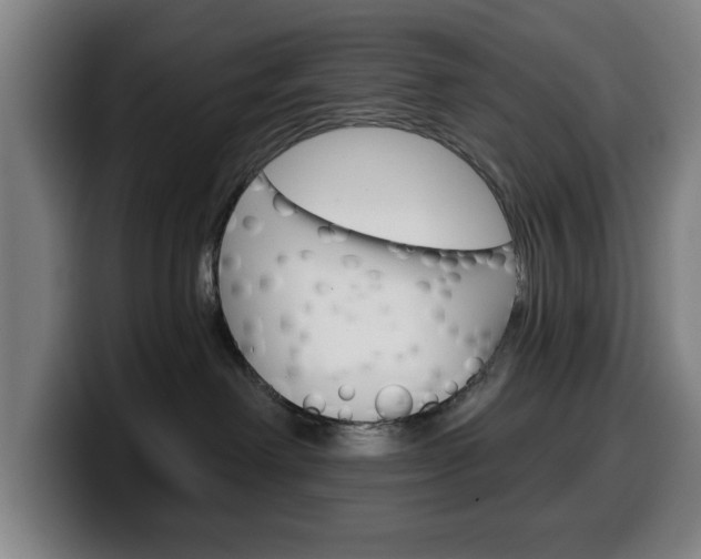 X0000099500238200805150956
