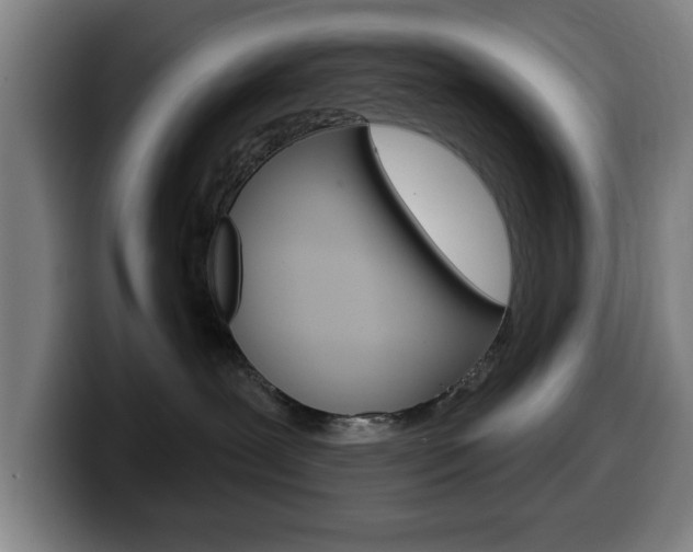 X0000099500239200805150956