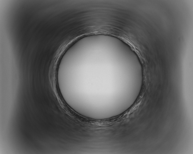 X0000099500241200805150955
