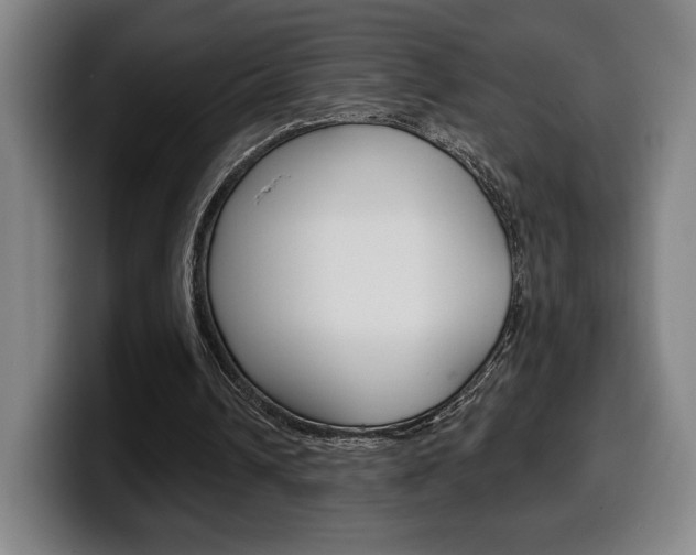 X0000099500242200805150955