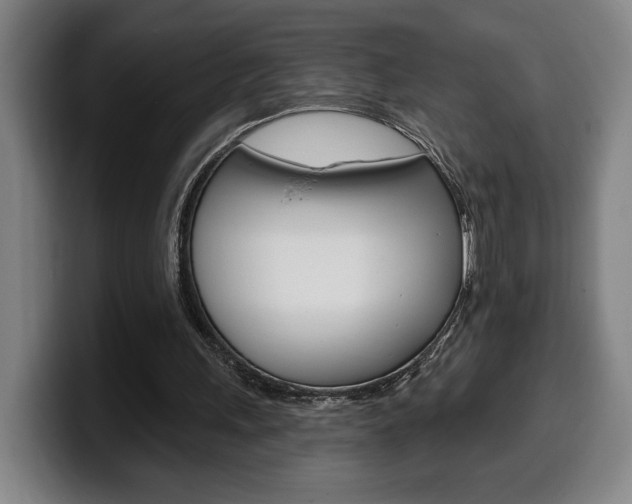 X0000099500243200805150955
