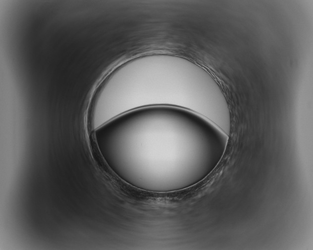 X0000099500244200805150955