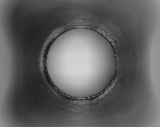 X0000099500245200805150955
