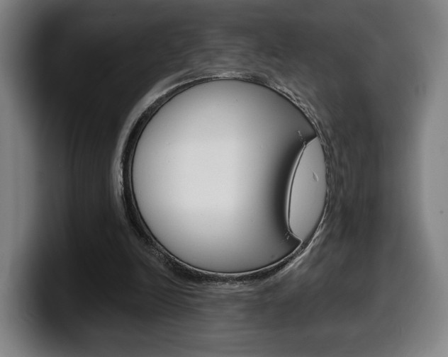 X0000099500246200805150955