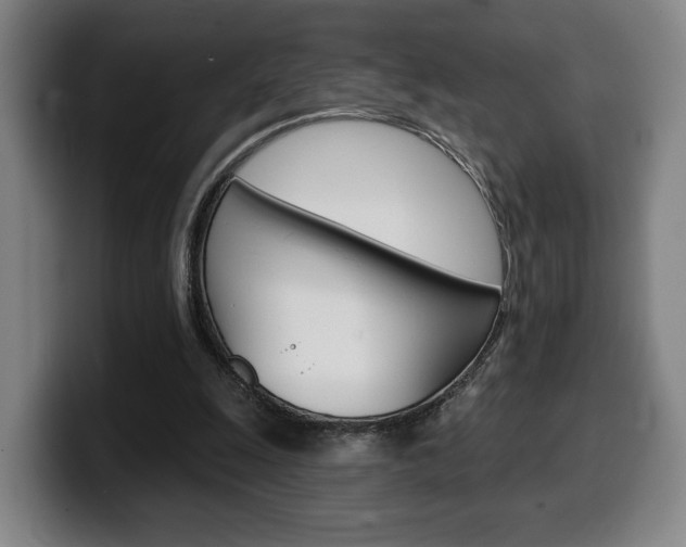 X0000099500247200805150955